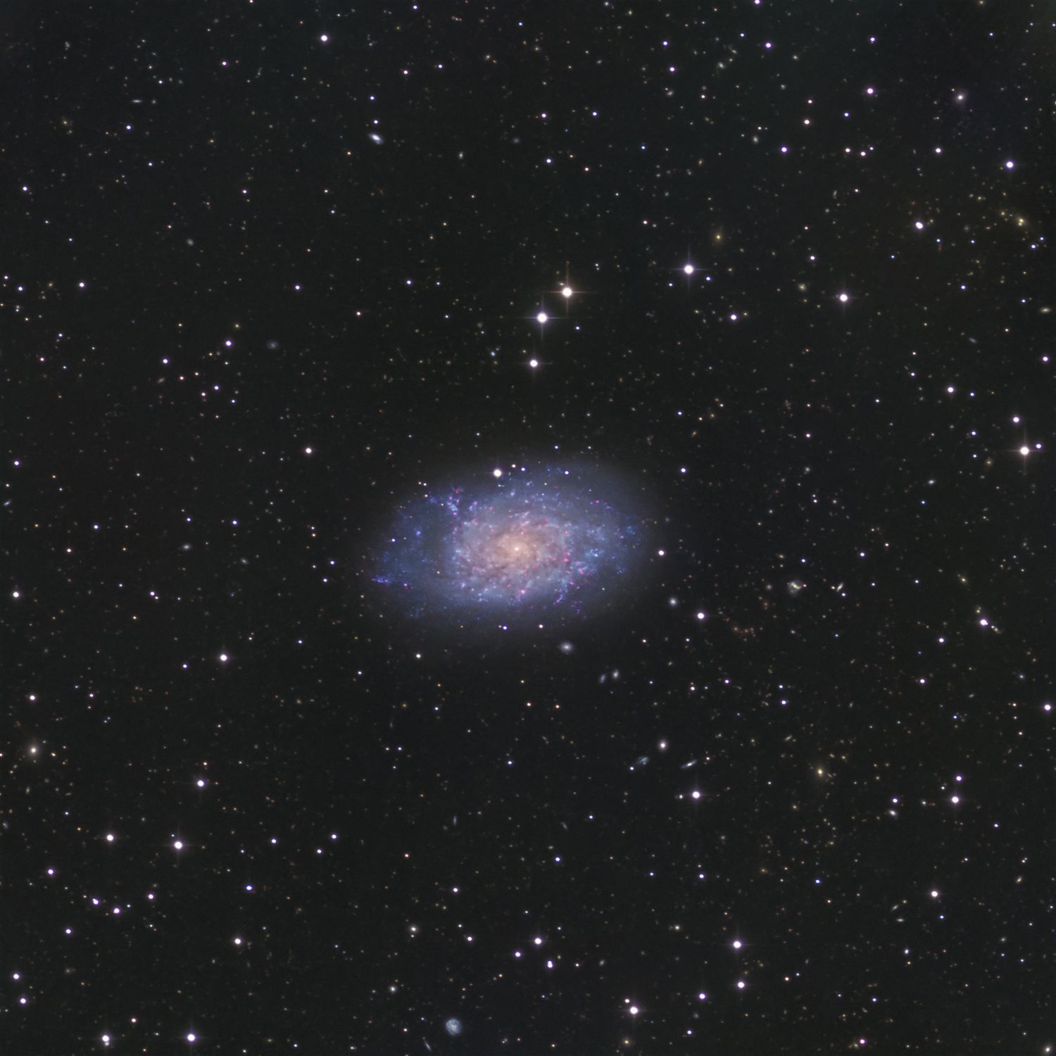 Flocculent spiral galaxy